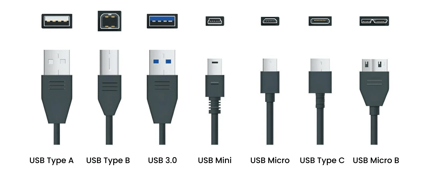 The Ultimate Guide to the Types of USB Cables: Connectors and Versions